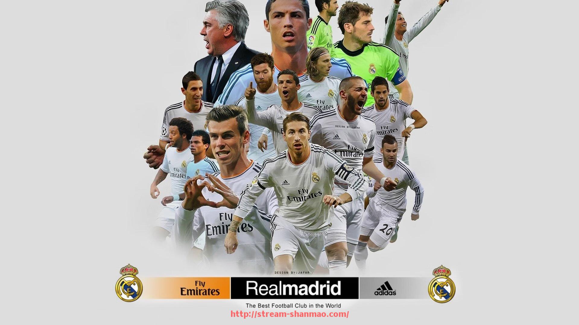 山猫直播官网-富勒姆主力阵容2025赛季球员名单及核心介绍