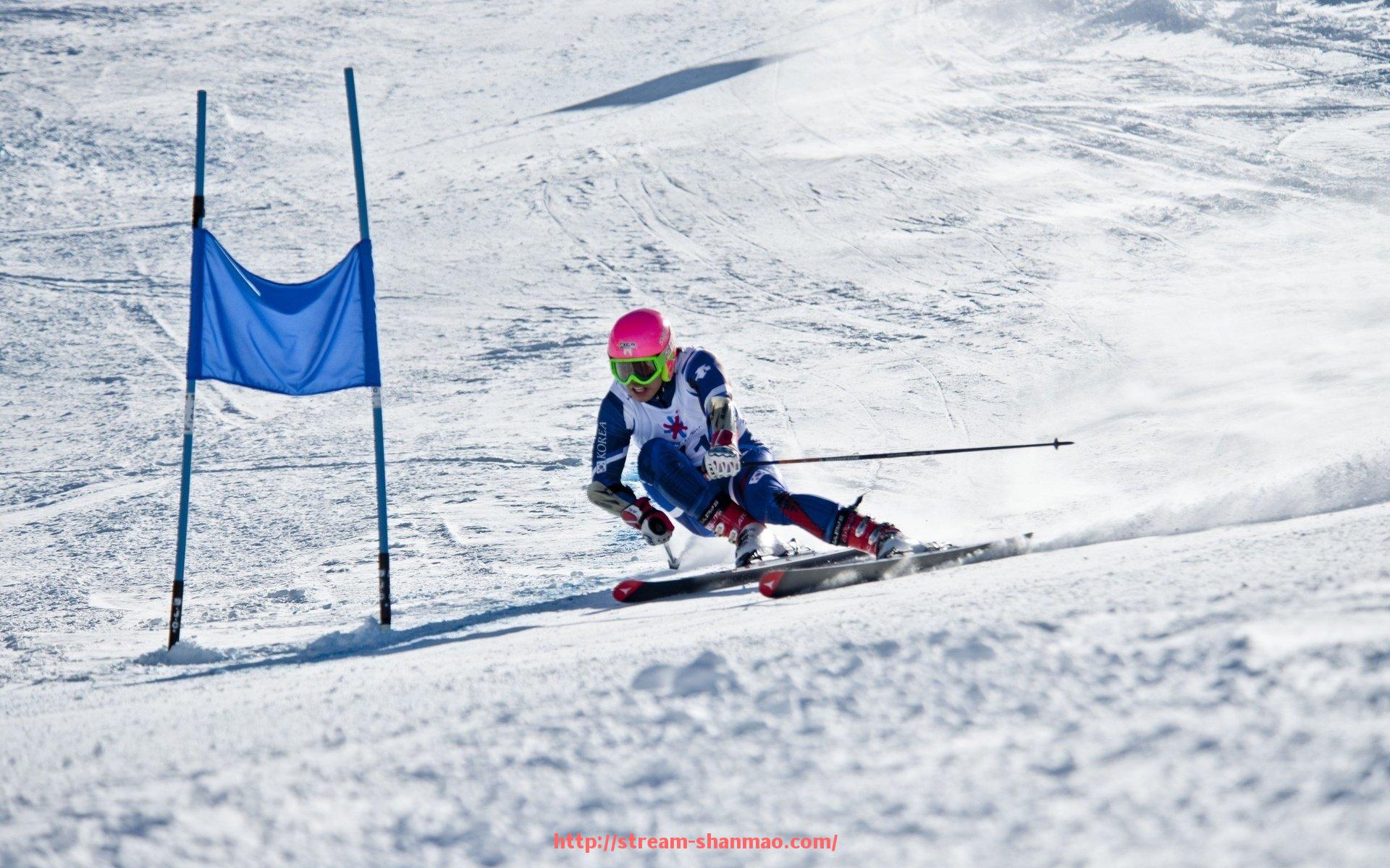 山猫直播官网-星驰力量健身器材系列产品介绍与评测